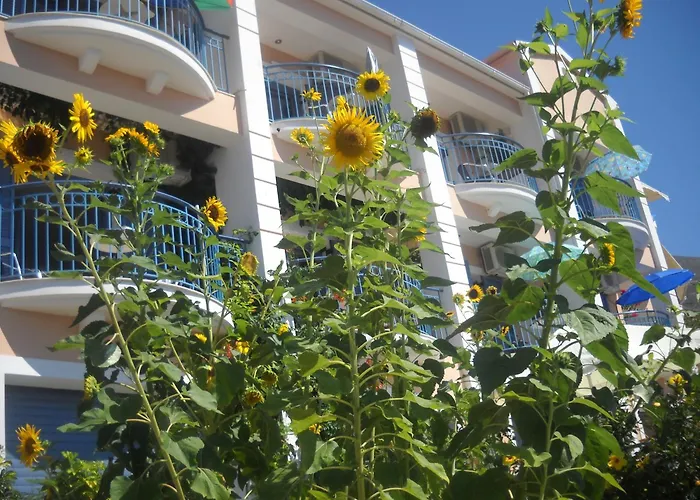Olive Bay Hotel Agia Efimia photo