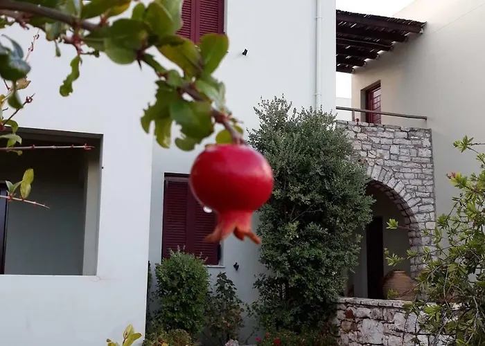 Vilana Studios Kalamos  photo